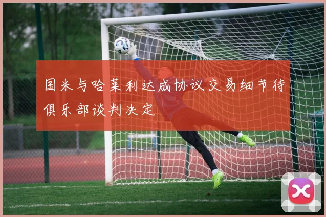 国米与哈莱利达成协议交易细节待俱乐部谈判决定