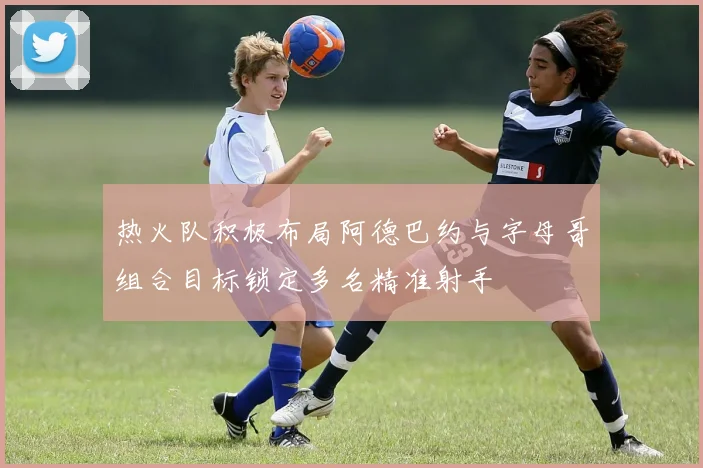 热火队积极布局阿德巴约与字母哥组合目标锁定多名精准射手